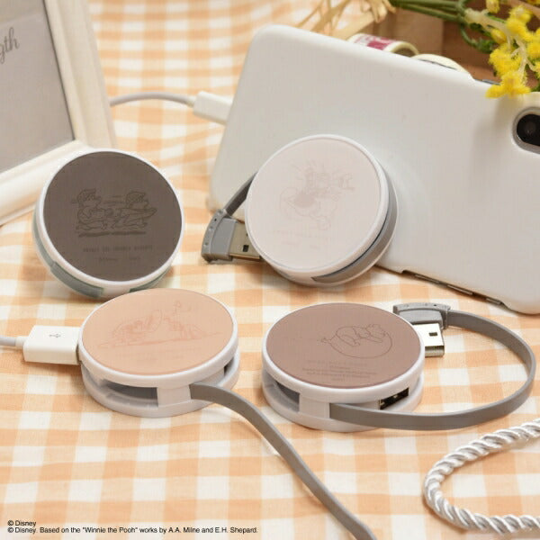 メール便発送 ディズニー キャラクター ラウンドUSBハブ ミッキー&プルート DN-998MK グルマンディーズ ディズニー Disney USBHUB 4ポート USB2.0 同時充電 5V2A 収納 コンパクト キャラクター かわいい おしゃれ