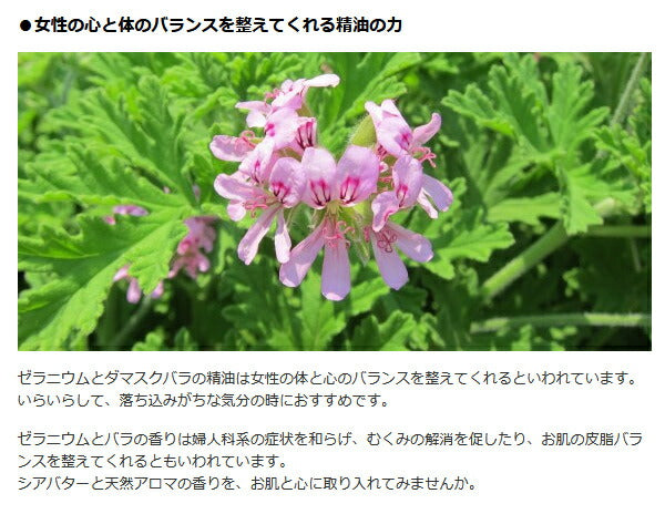 メール便発送 シアバター100% 保湿クリーム ぴゅあシアバター ゼラニウム 30g アフリカ工房 スキンケア ハンドクリーム 手荒れ ハンドケア