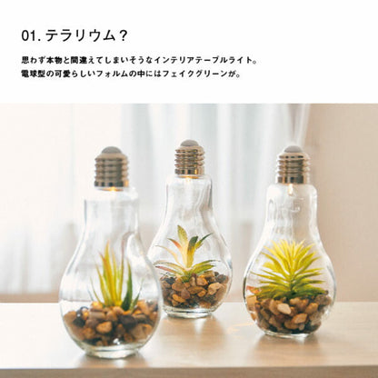 電球型 インテリアライト Terrarium テラリウム A EF-RL02A アンファンス LEDライト タッチライト テーブルライト 照明 間接照明 おしゃれ プレゼント ギフト